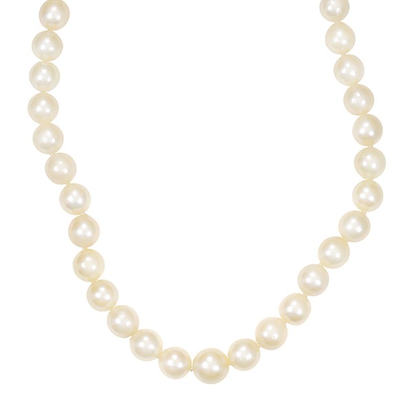 Perlenkette, 14K, Weißgold, Gelbgold, Zuchtperlen , im Verlauf Detailbild #1