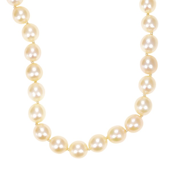 Perlenkette, Schließe 14K, Gelb/Weißgold, Saphire Detailbild #1