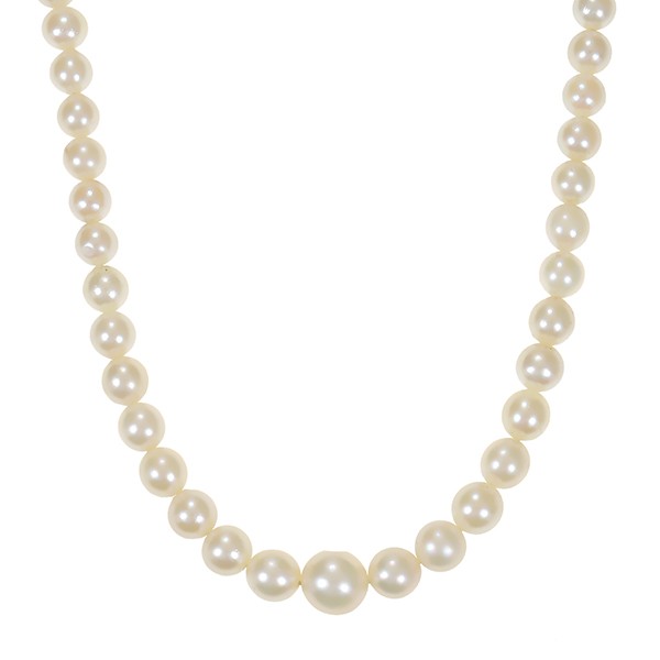 Perlenkette, 14K, Weißgold Detailbild #1